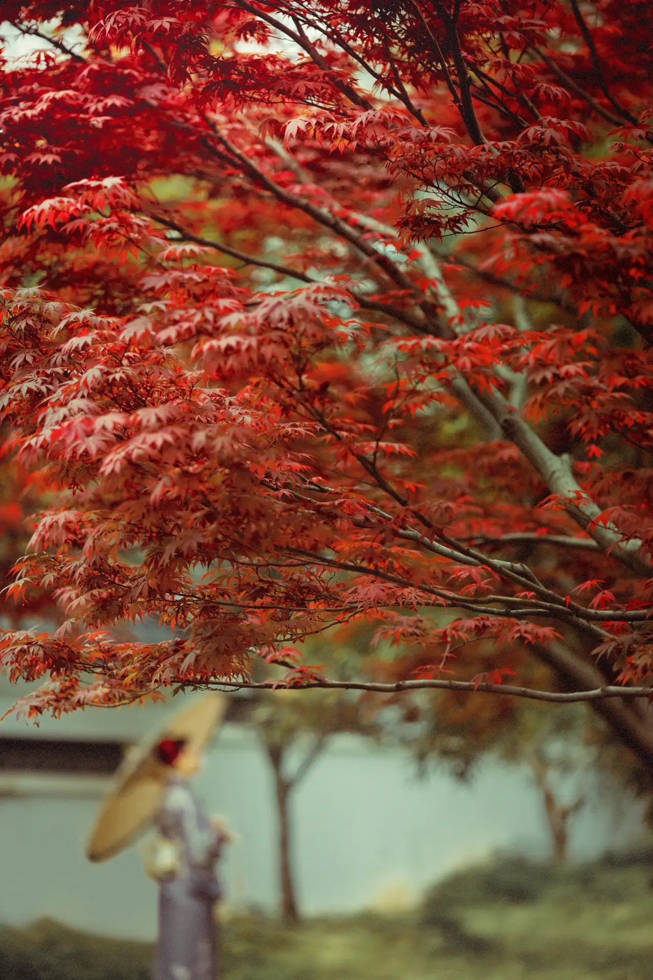 [YITUYU] 2021.09.02 Vol.219 – Deep in the Red Leaves No worries#[29P]-5